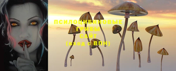 прущая мука Володарск