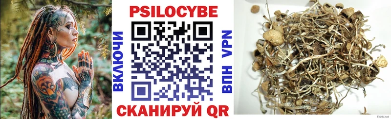 Купить  Малоархангельск  Псилоцибиновые грибы Magic Shrooms 